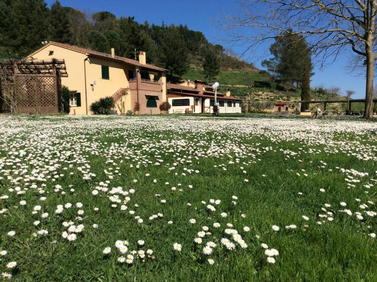 Agriturismo Podere Bucine Basso Lari Kültér fotó